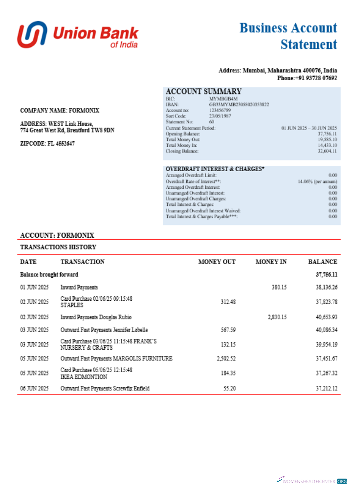 Download Union Bank of India business firm statement Word and PDF format Photoshop template
